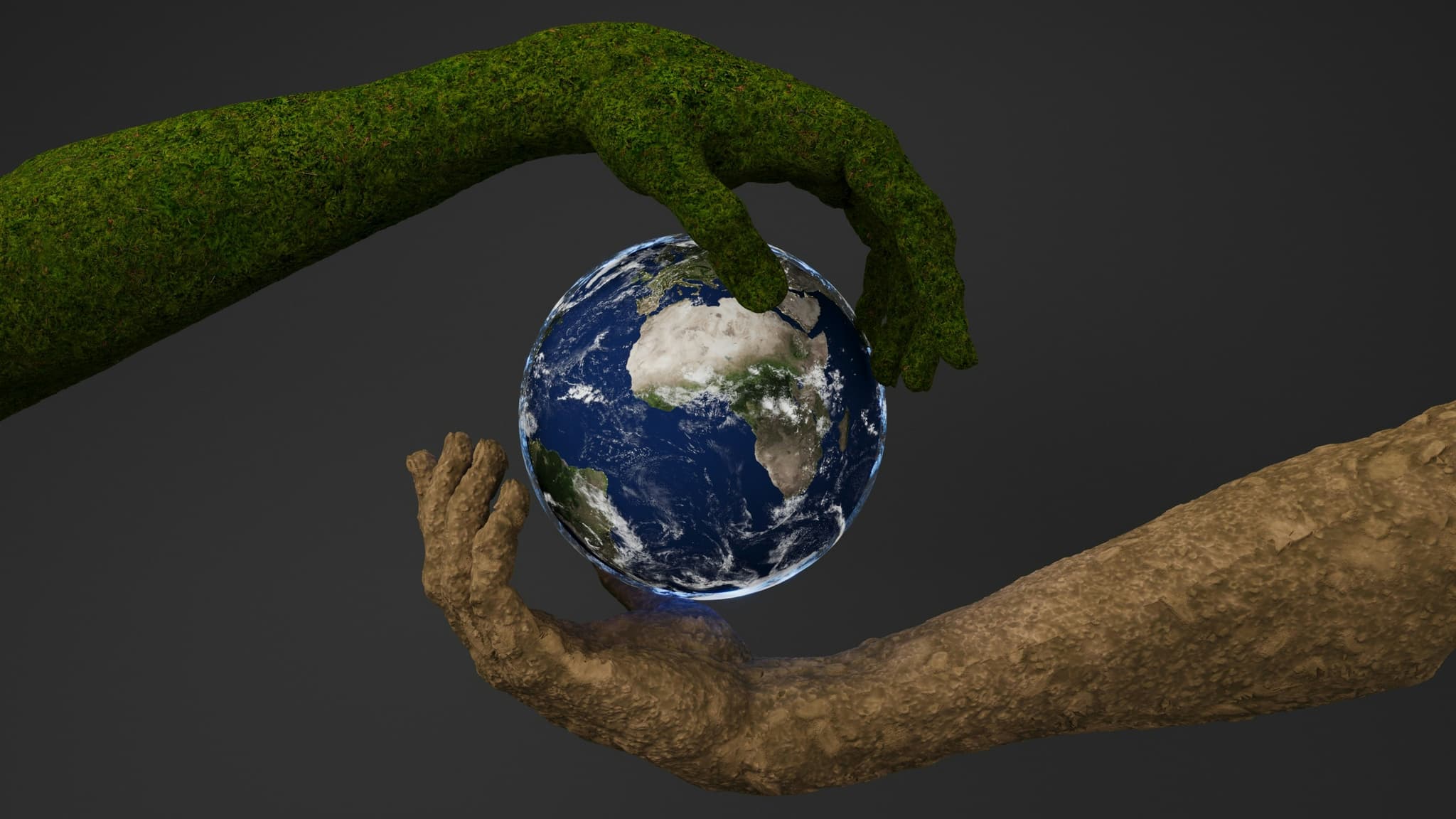 Services EcoDeliv